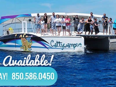 Things To Do https://30aescapes.icnd-cdn.com/images/thingstodo/cattywampus aquatic adventures catamaran boat rides 30a.jpg
